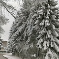 alentour-de-gueret-1-neige-avril-2022