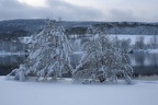 Autour du plan d'eau de Courtille - Hiver 2007