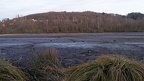 Vidange du plan d'eau vers la queue du lac